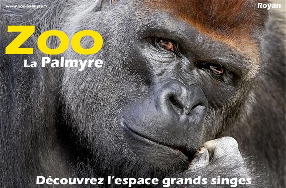 zoo de la palmyre