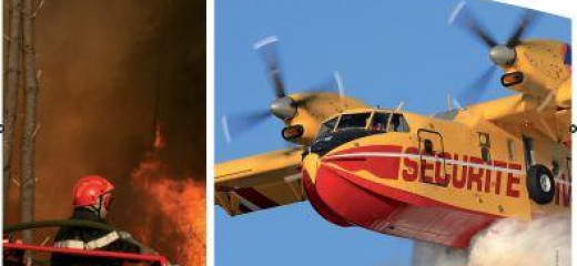 Exposition des ailes du feu